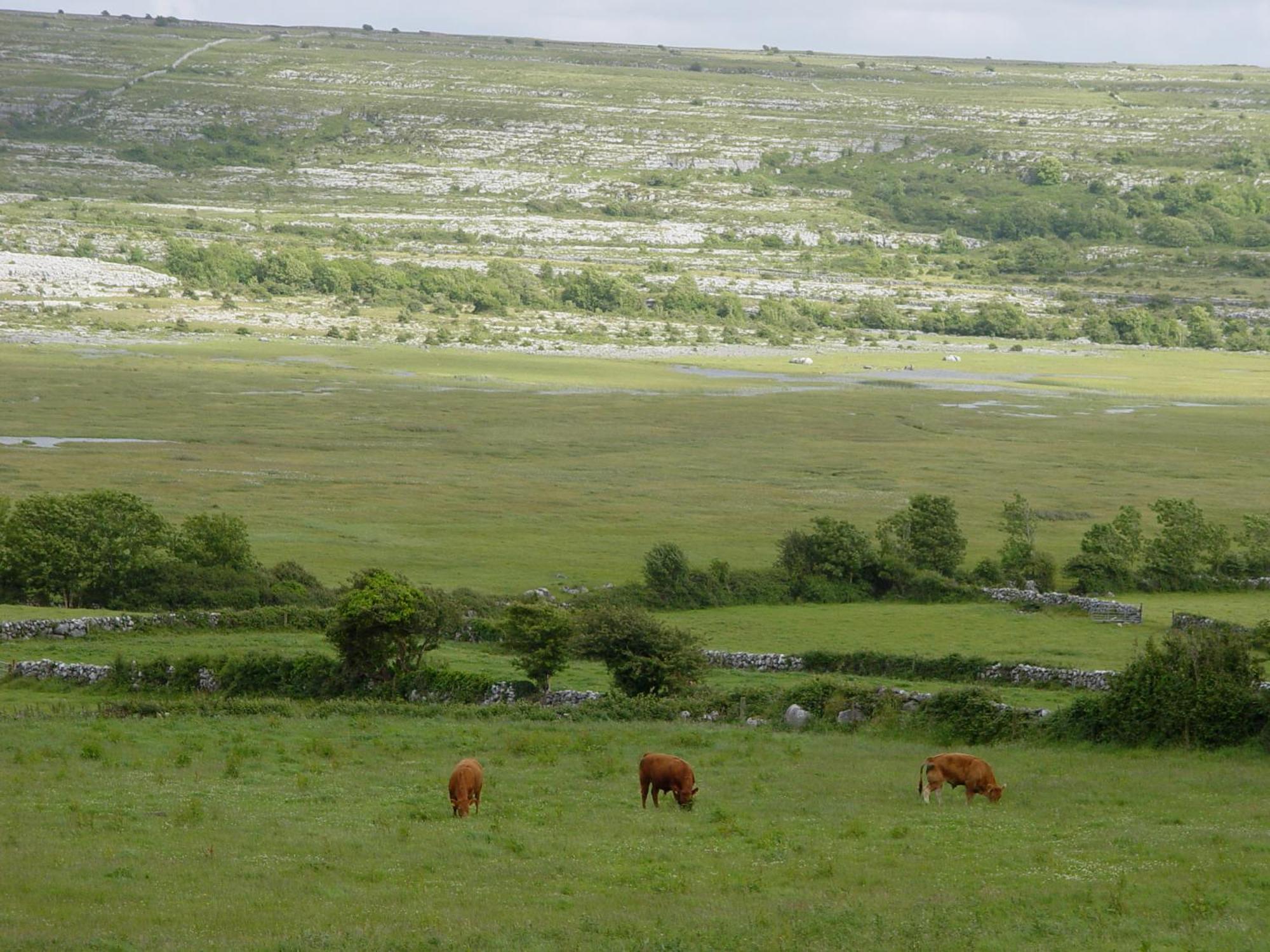 Clare'S Rock Self-Catering Accommodation Carron Exterior photo